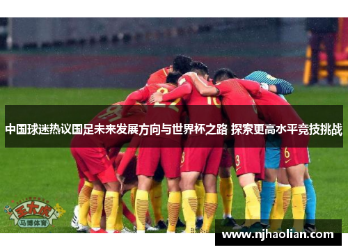 中国球迷热议国足未来发展方向与世界杯之路 探索更高水平竞技挑战